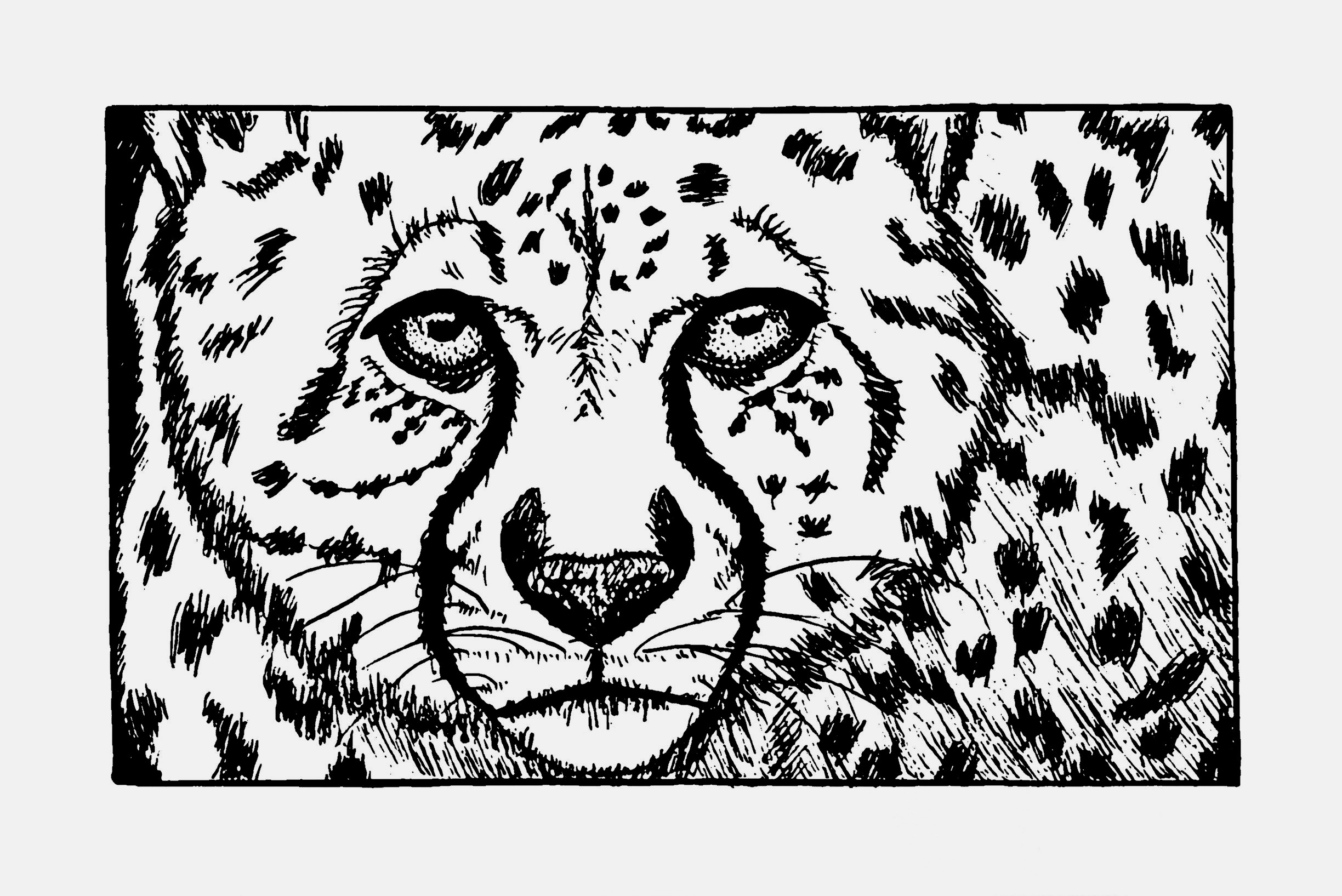 A drawing of a cheetah.