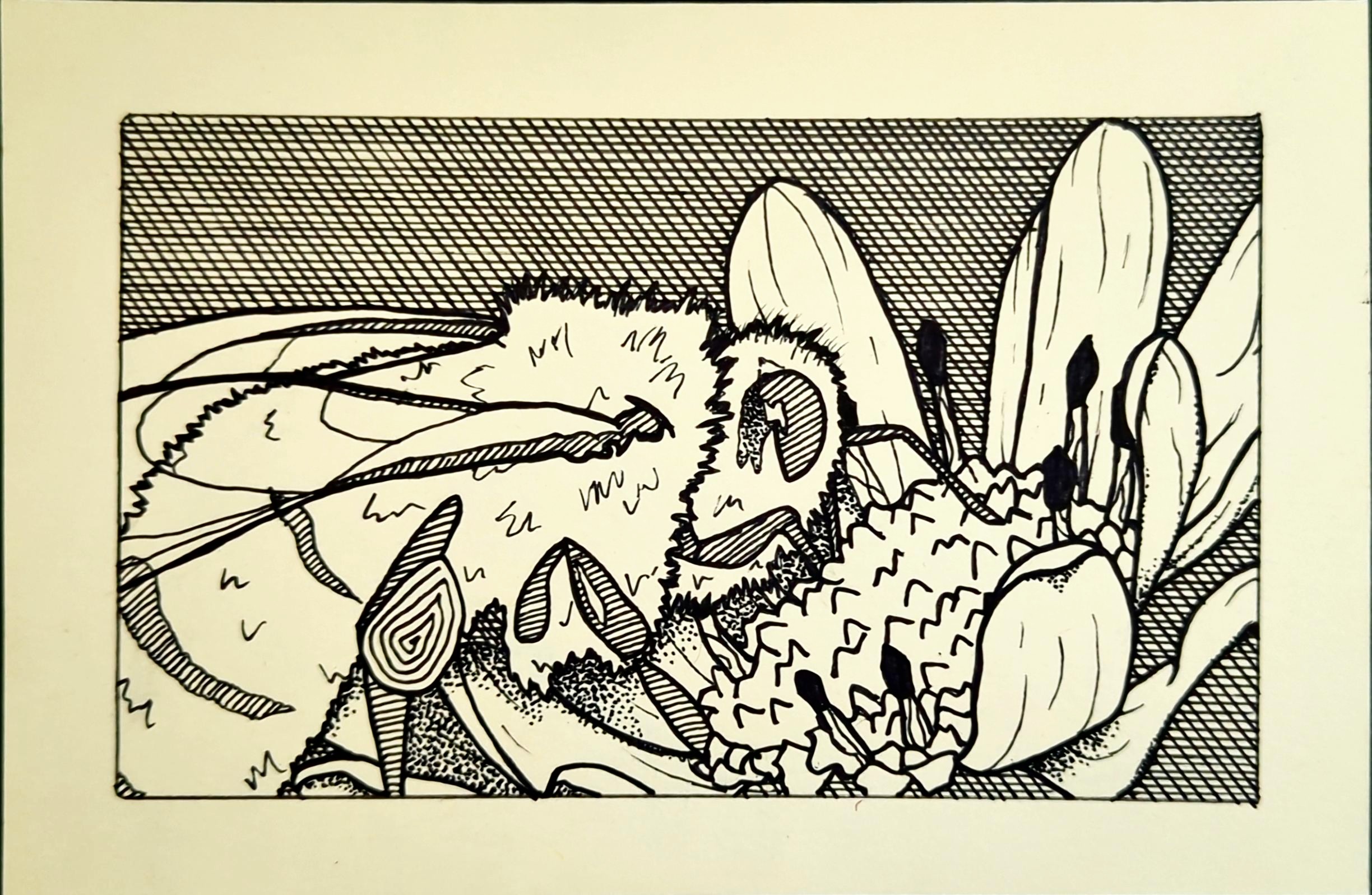 Drawing of a honeybee putting its feet and face all up in a flower.