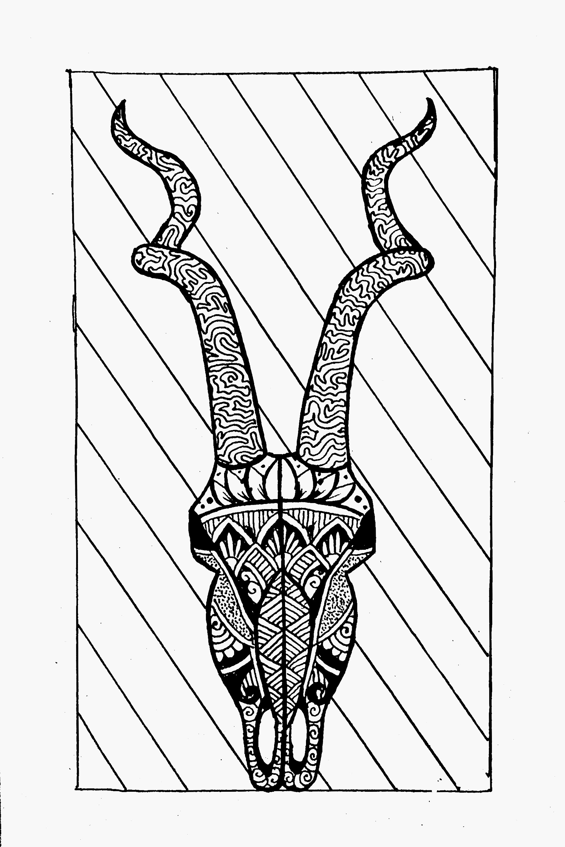 Drawing of a kudu skull with henna patterns on it.