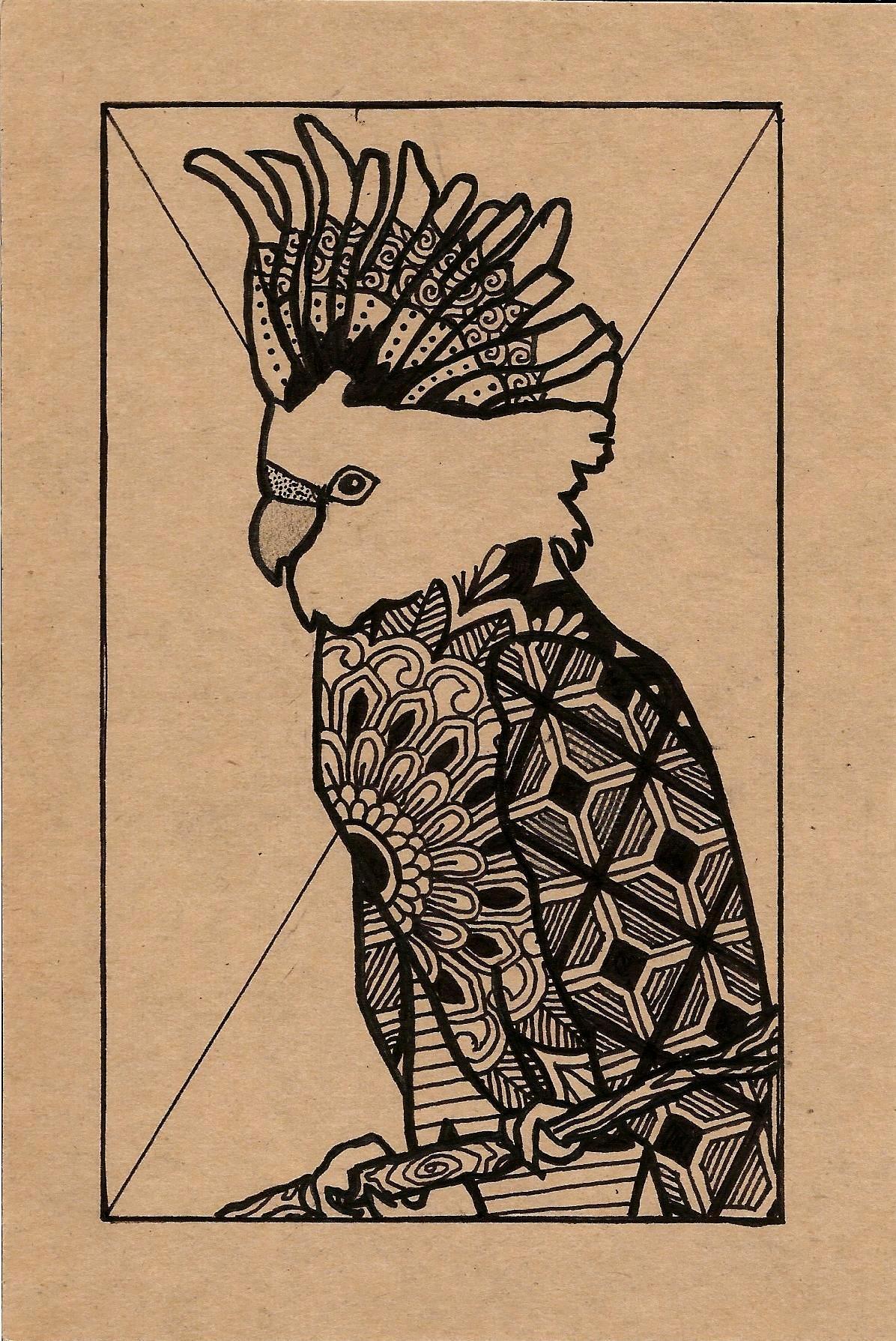 Drawing of a major mitchell cockatoo.