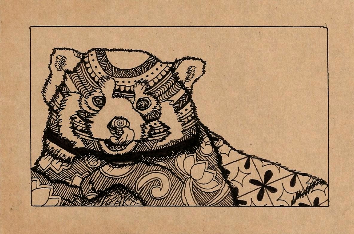 Drawing of a red panda propped up on its arms and licking its nose.